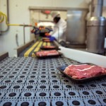 Food Processing Guides Made with King Hy-Pact®