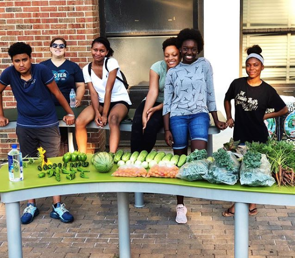 Big Green Learning Garden